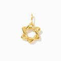 Star of David Charm