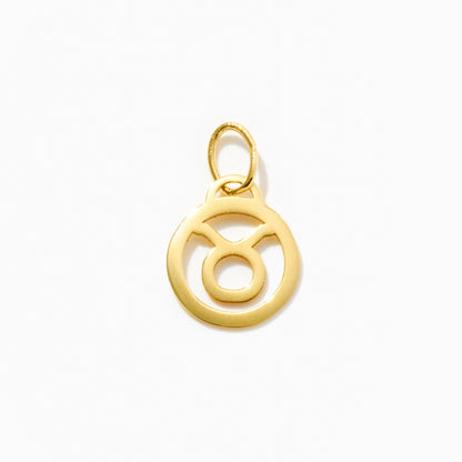 Zodiac Charm