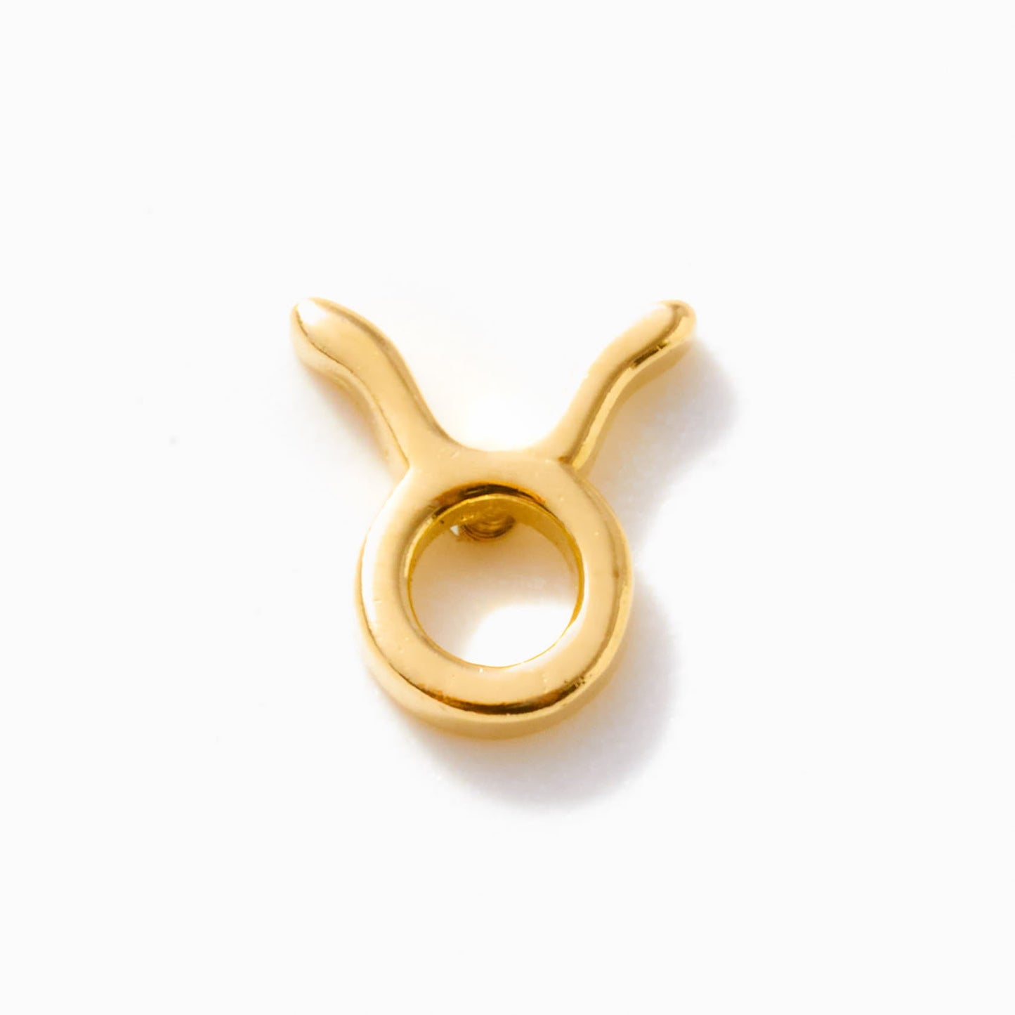 Zodiac Piercing Threaded Stud Earring