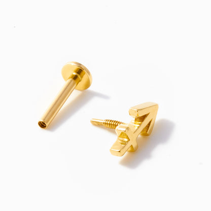 Zodiac Piercing Threaded Stud Earring