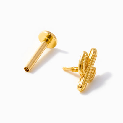 Cactus Piercing
