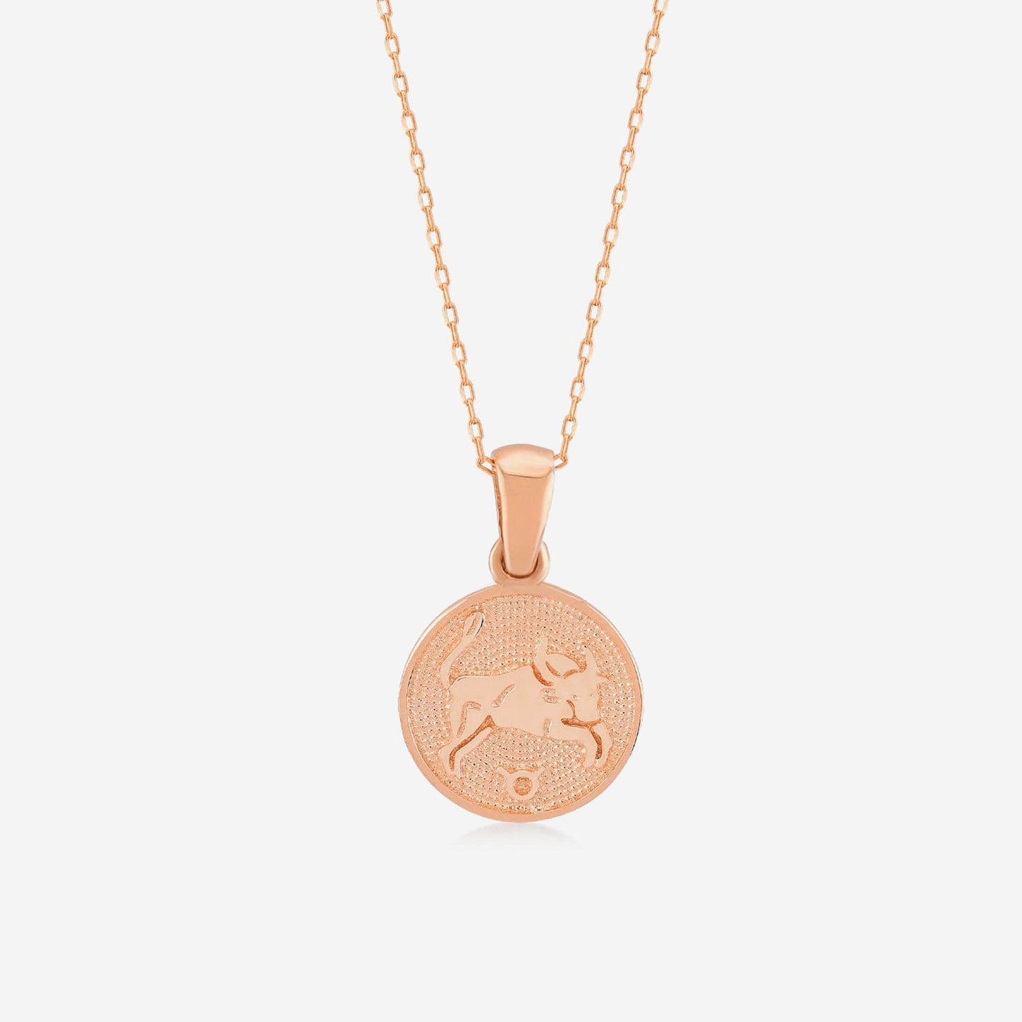 Zodiac Necklaces in 14K Solid Gold