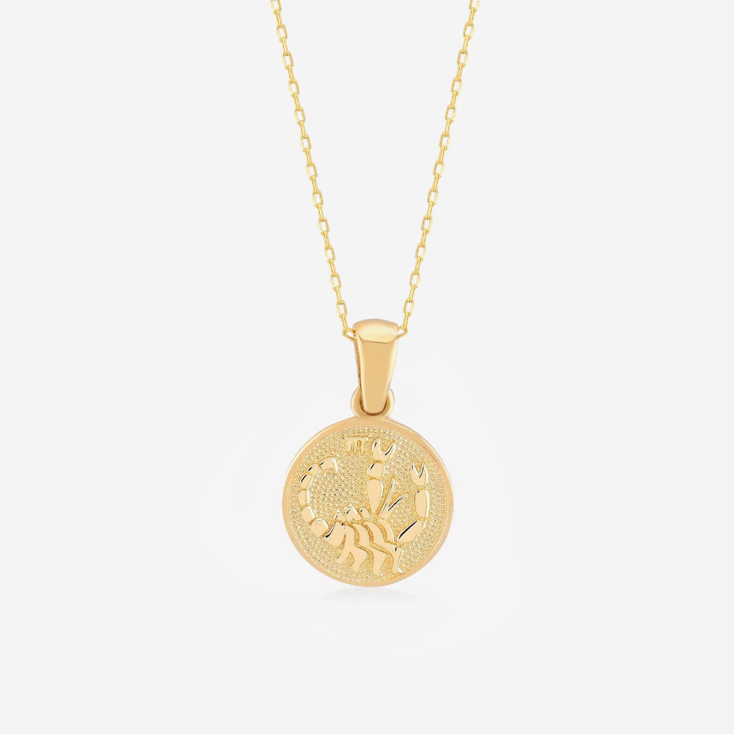 Zodiac Necklaces in 14K Solid Gold