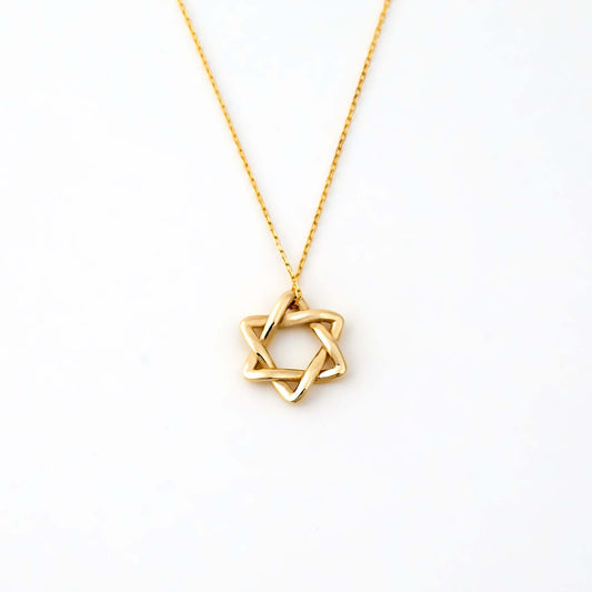 Infinity Star of David Necklace