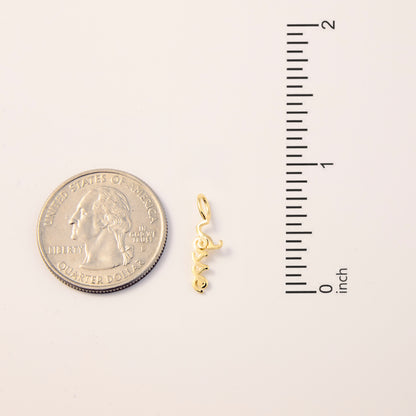 Custom Script Name Charm