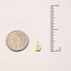 Letter Disc Charm