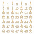 Diamond Number Charm Pendant