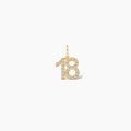 Diamond Number Charm