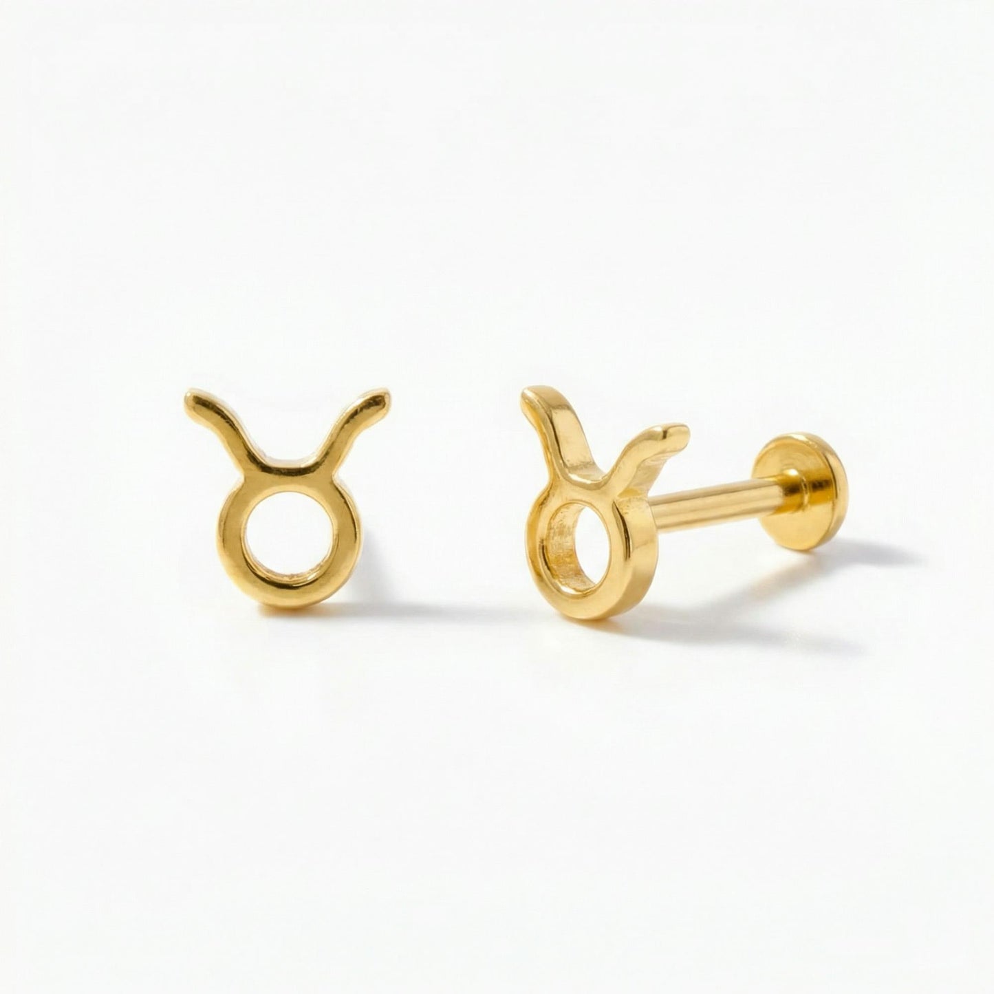 Zodiac Piercing Threaded Stud Earring