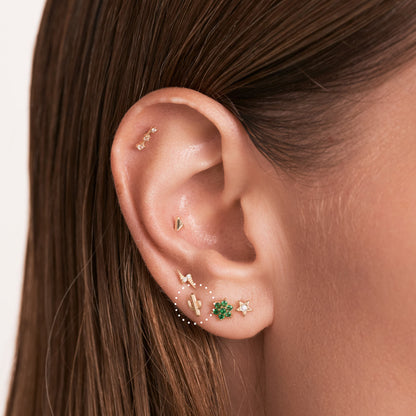 Cactus Piercing