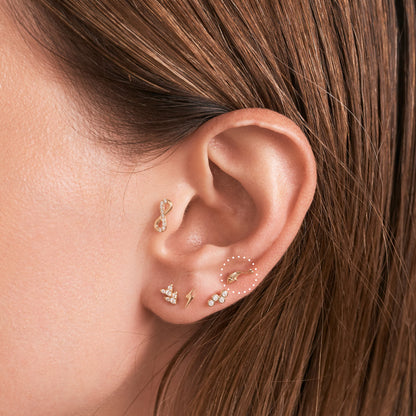 Fish Tail Piercing Earrings