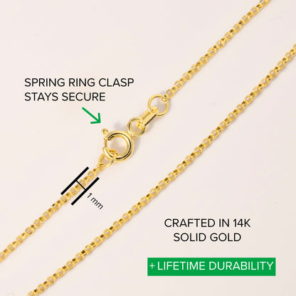 Dainty Curb Chain Necklace