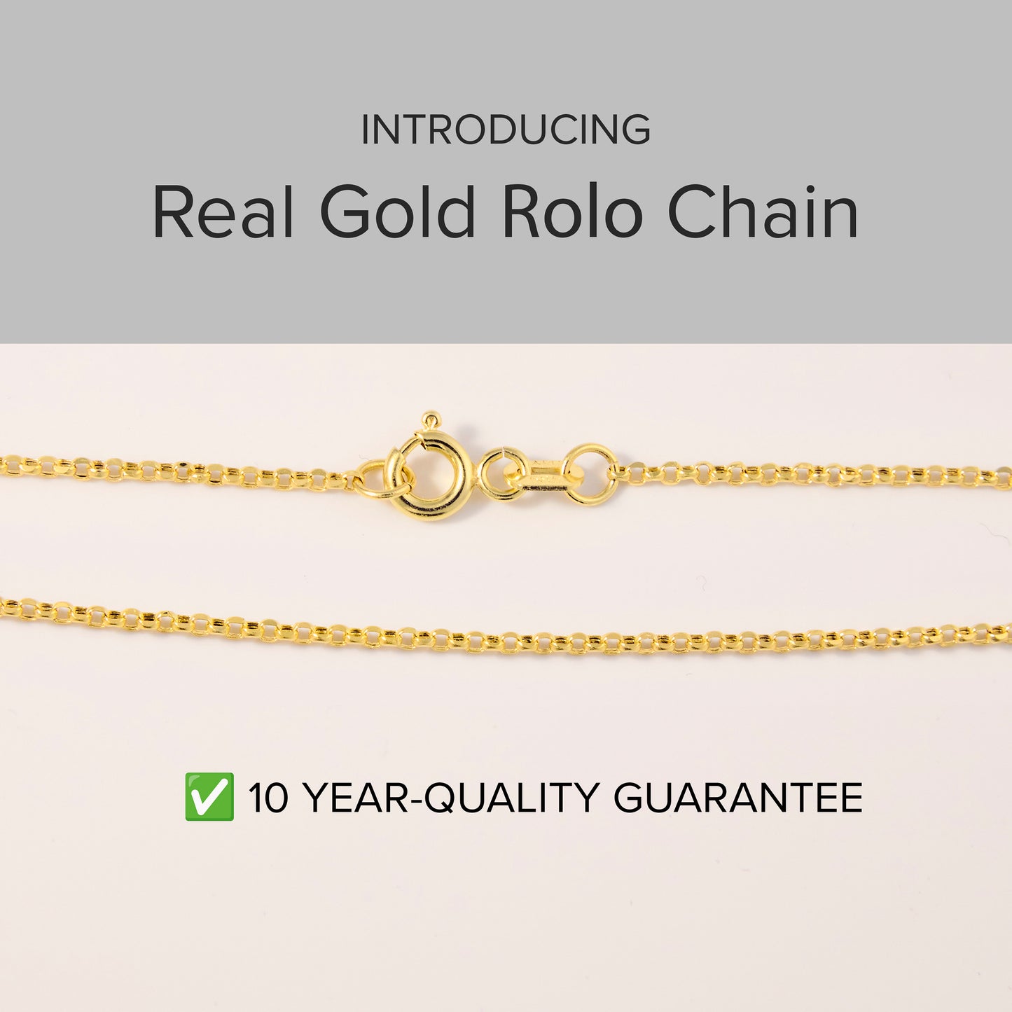 Dainty Curb Chain Necklace