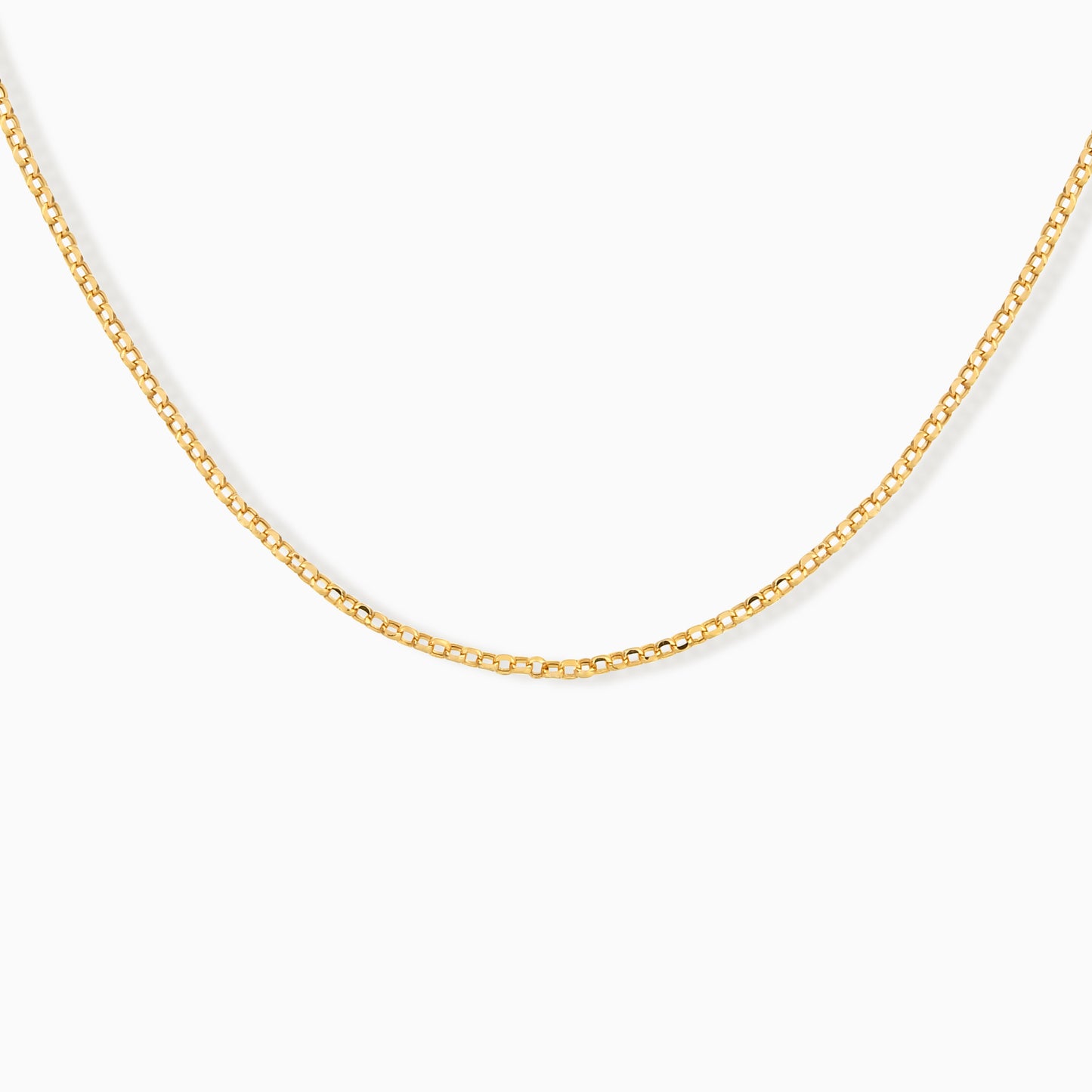 Dainty Curb Chain Necklace