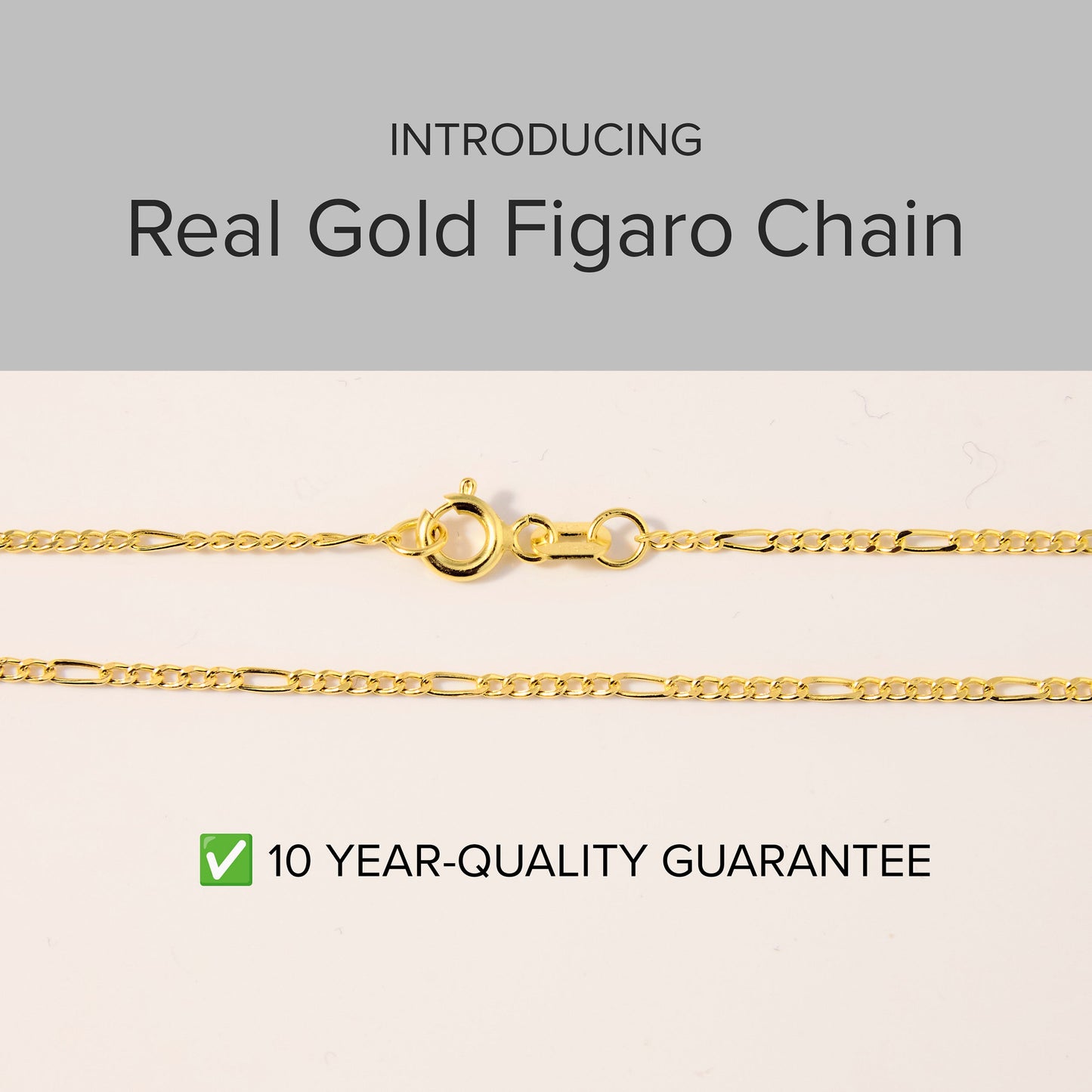 Dainty Rolo Link Chain Necklace