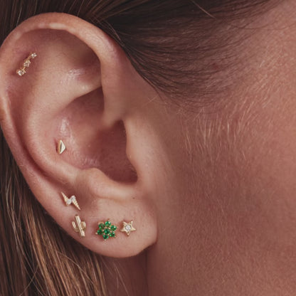 Cactus Piercing