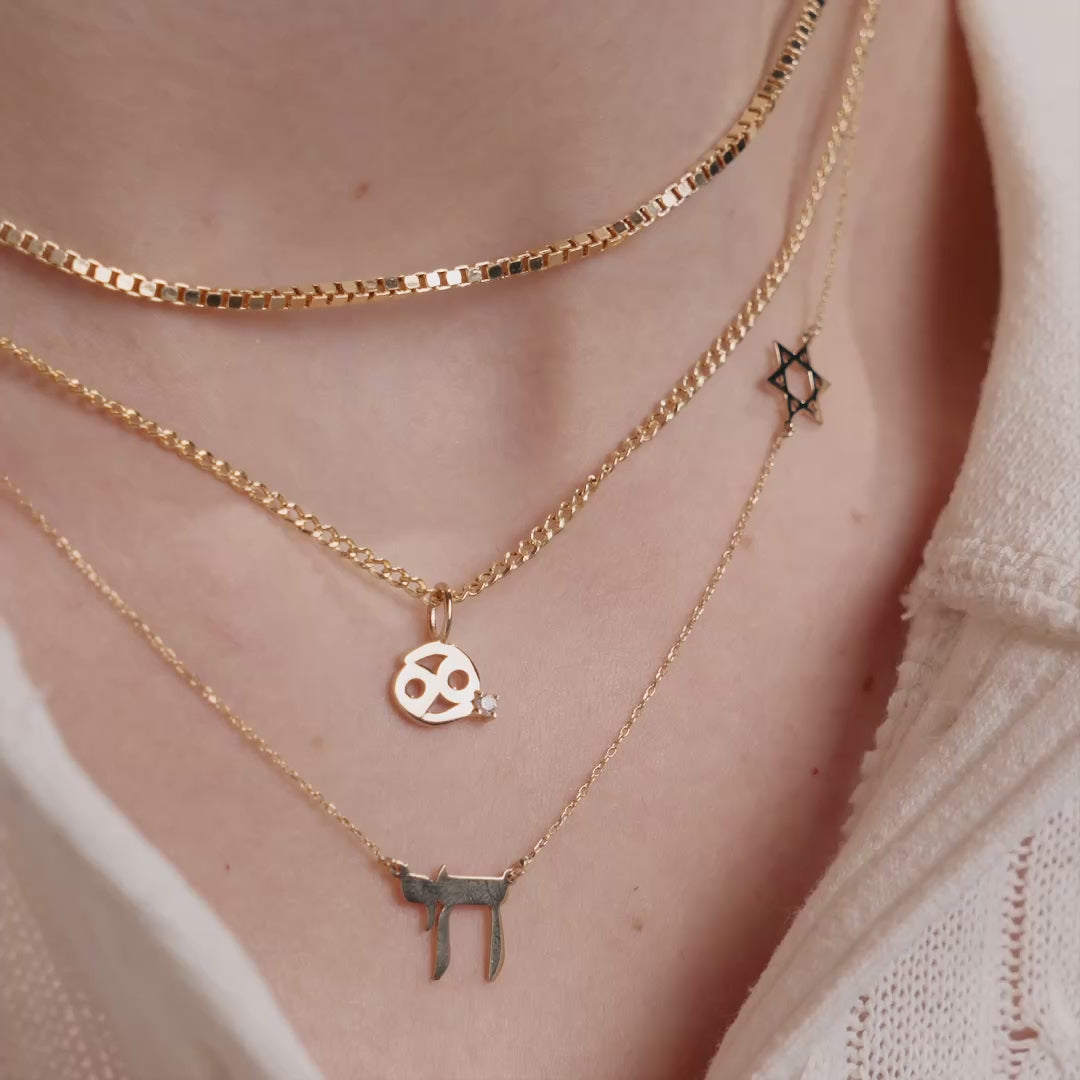 Jewish Star and Chai Symbol Necklace
